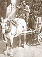 man holding reins sits in a horsecart in front of a coal pile