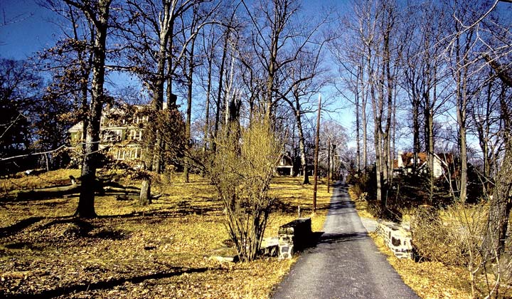 looking up service road, old house on left, bare trees, golden hue