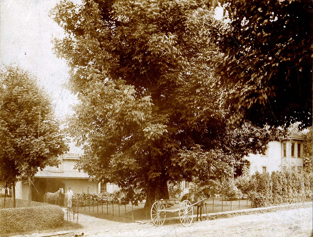 A man holds a horse in the driveway of a garage with a sign on its roof reading "lumber". A horse pulling an open cart stands in front of the attached house on a dirt street with a wood sidewalk, under a huge tree.